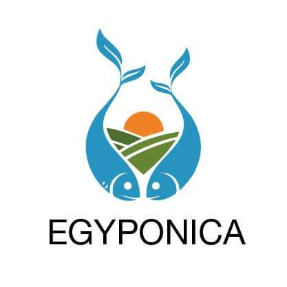 EgyPonica